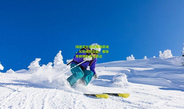 球迷文化塑造赛场灵魂,从助威到公益,看体育精神的多元表达