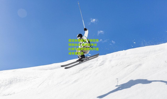 西足协裁委会下周召开特别会议 赫伊森争议红牌与曼萨诺判罚尺度成审查焦点