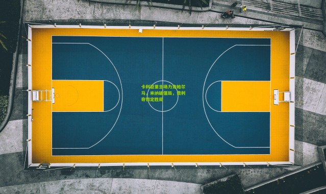 卡利亚里主场力克帕尔马，米纳破僵局，费利奇锁定胜局