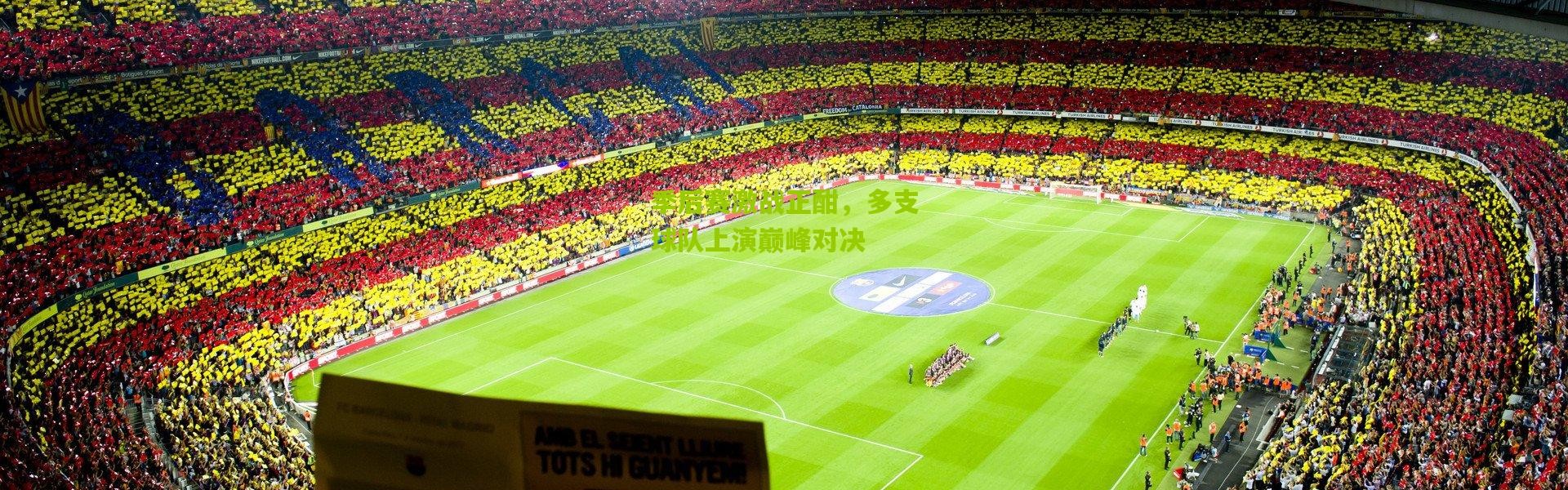 季后赛激战正酣，多支球队上演巅峰对决