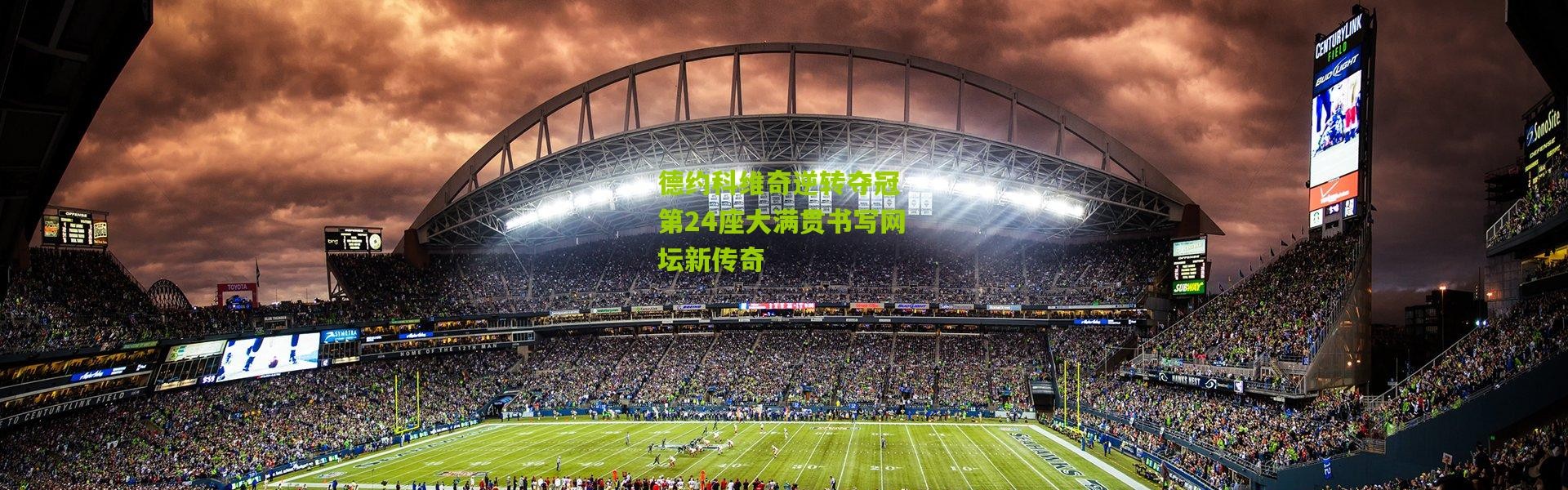 德约科维奇逆转夺冠 第24座大满贯书写网坛新传奇