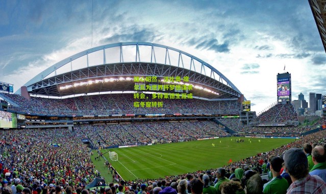 雄心昭然，法比奥-席尔瓦为世界杯梦想谋求转会，多特蒙德生涯或临冬窗转折