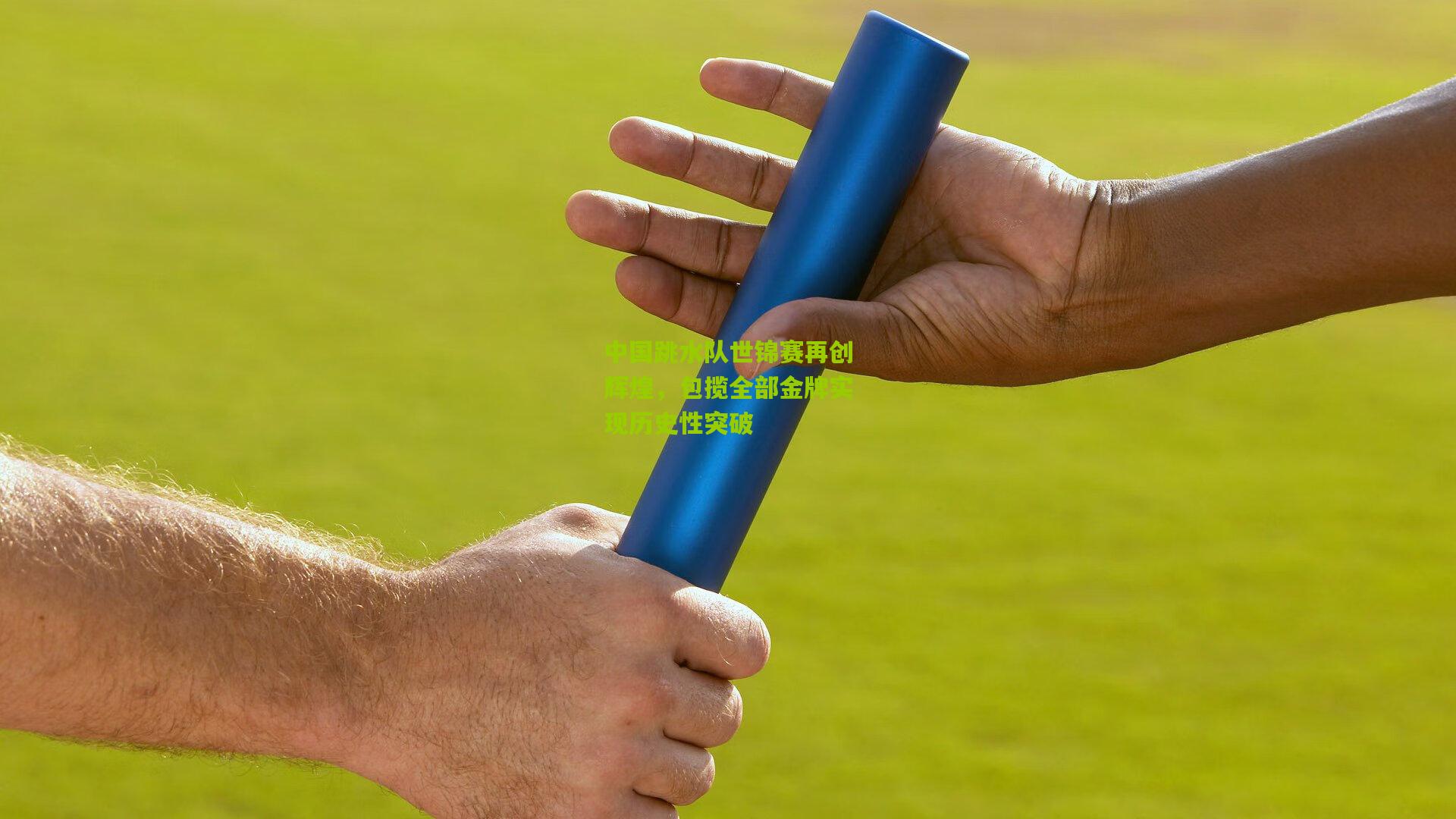 中国跳水队世锦赛再创辉煌，包揽全部金牌实现历史性突破